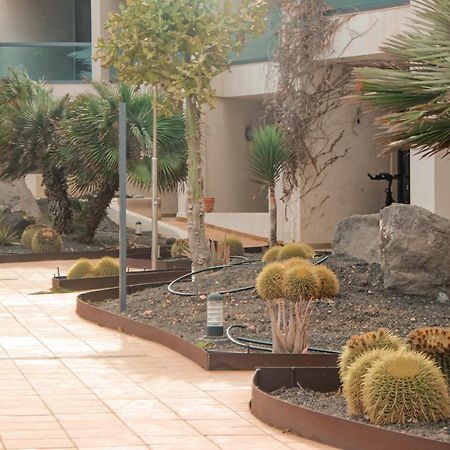 Casa Aloe Vera Cotillo Eksteriør billede